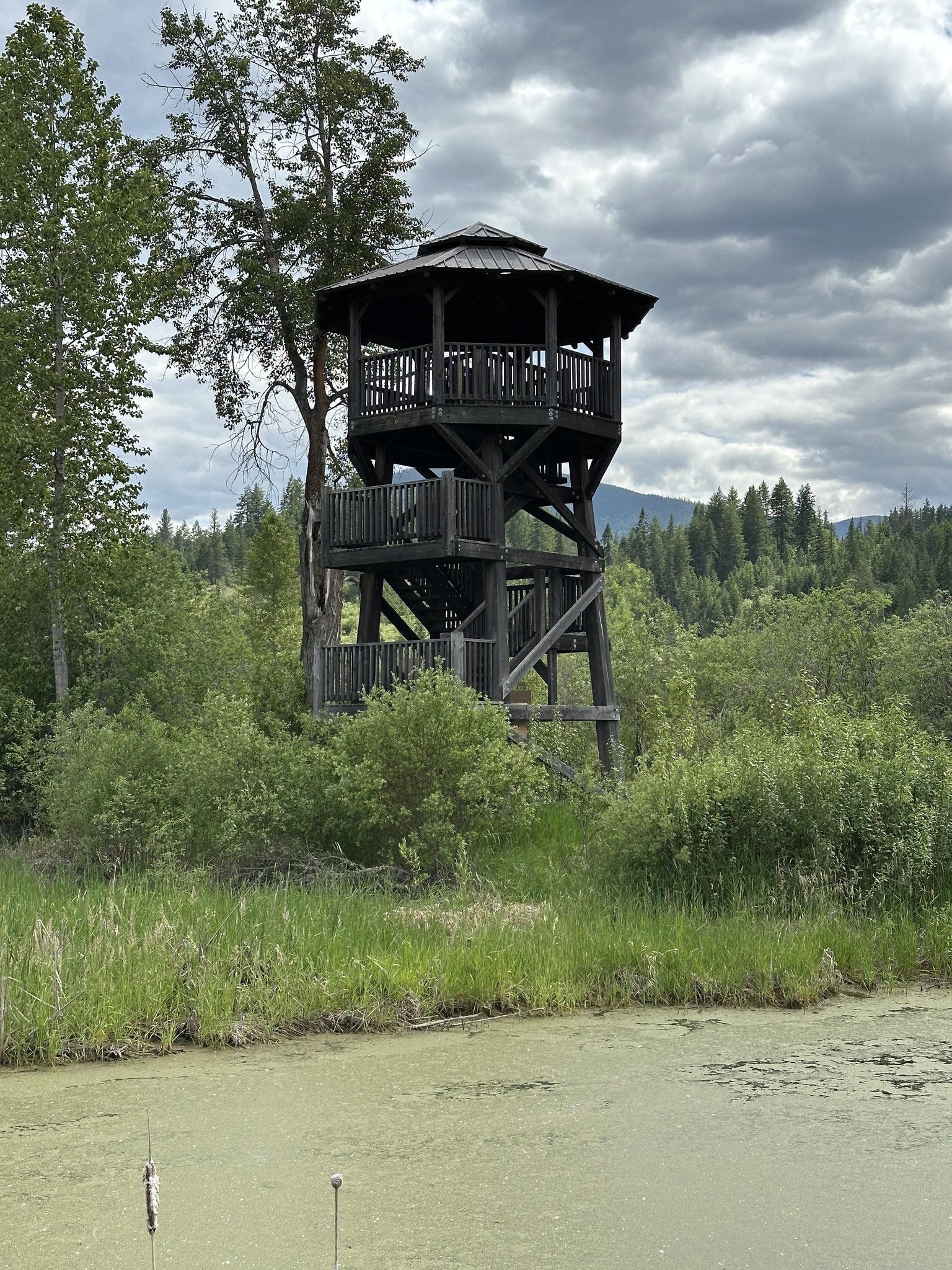 Observation Tower Closed – Corn Creek Marsh