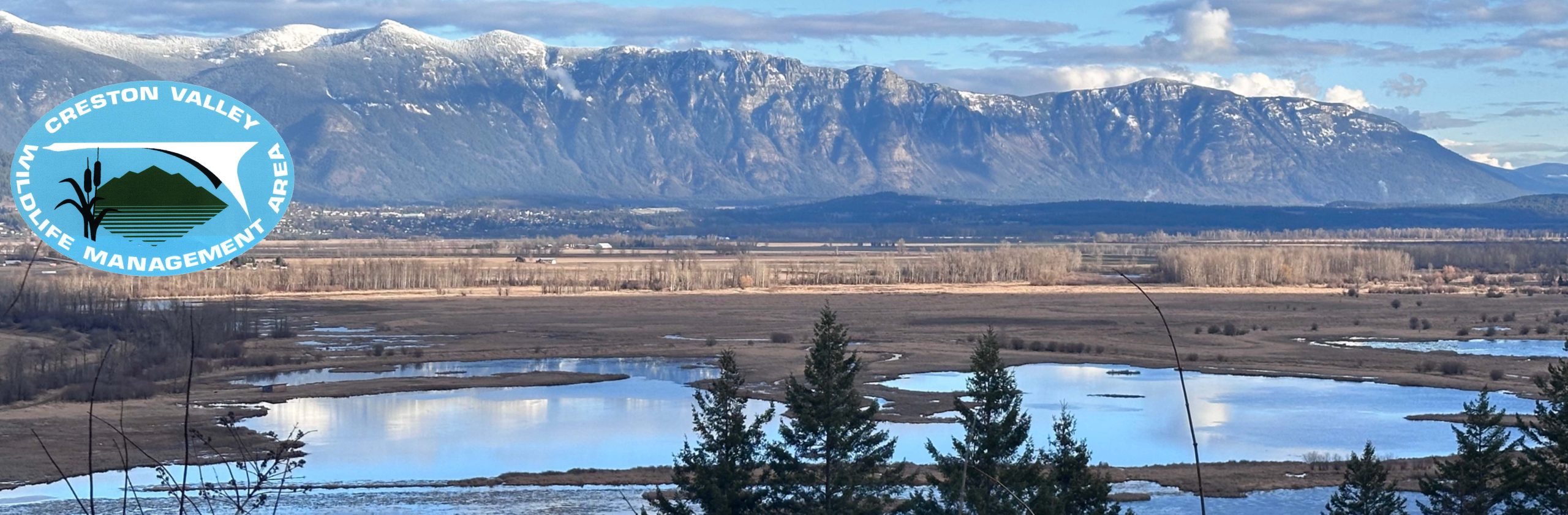 CVWMA February 2026 eNews – The Great Backyard Bird Count Feb 13 – 16, 2026!