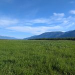 CVWMA Admin office closed – May 18, 2026