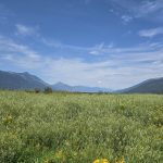 Update! Corn Creek Marsh Trails – temporary closure lifted